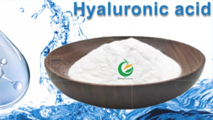hyaluronic acid.jpg