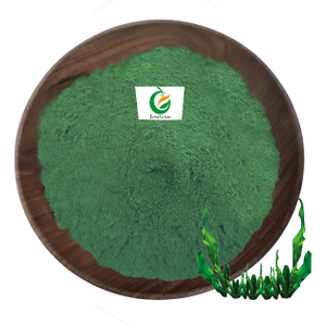 60% Protein Organic Algae Chlorella Spirulina Powder