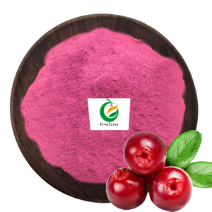 Bilberry Fruit Extract Powder