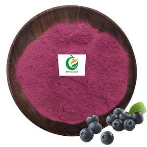 100% Natural Blueberry Fruit Powder