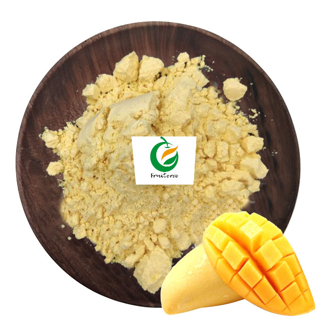mango fruit extract powder manufacturer Fruiterco